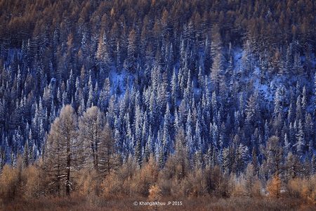 Баасан гаригаас ихэнх нутгаар хүйтэрнэ