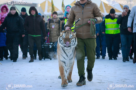Циркийн бар хотын гудамжаар ”зугааллаа”