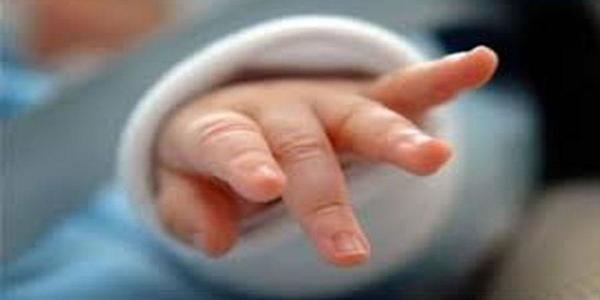 Оршуулгын газраас нярай хүүхэд олжээ