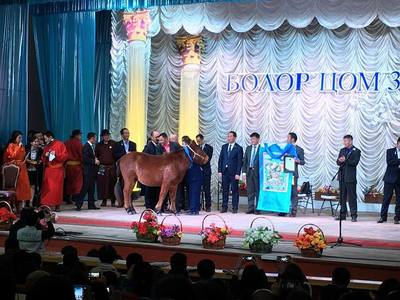 Яруу найрагч Б.Батсайхан “Болор цом”-ын эзэн болов