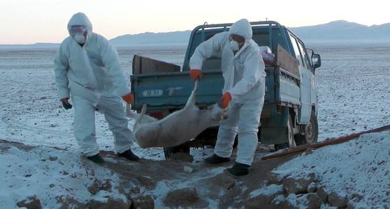 Засгийн газраас 447 сая төгрөгийн санхүүжилт гаргалаа