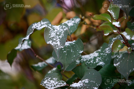 Улаанбаатарт 6 хэм дулаан, ялимгүй хур тунадастай