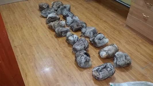  Тарваганы тулам тээвэрлэж явсныг илрүүлэв