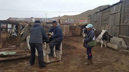 Хүн тээврийн хэрэгслийн хөдөлгөөнөөр халдвар тархжээ