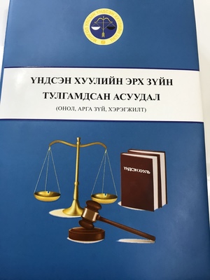 Үндсэн хуулийн эрх зүйн тулгамдсан асуудлаарх ном хэвлэгдэн гарлаа