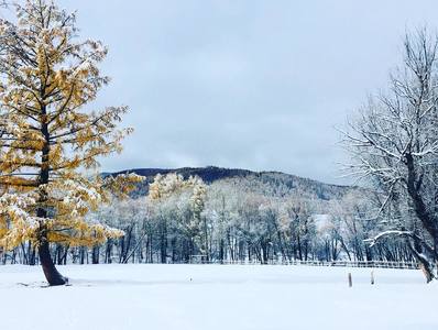 Нийт нутгийн 60 гаруй хувьд цастай байна