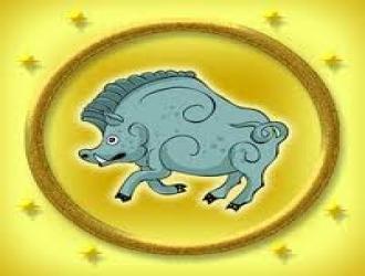 Гахай өдөр