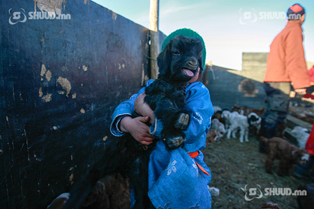 Хаврын цаг агаарын урьдчилсан төлөв гарлаа