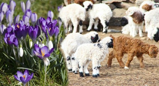 Өдөртөө ихэнх нутгаар дулаан байна