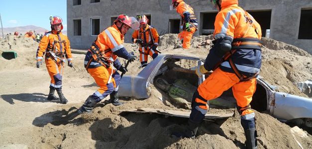 “Говийн чоно-2017” олон улсын сургалт, дадлага болно