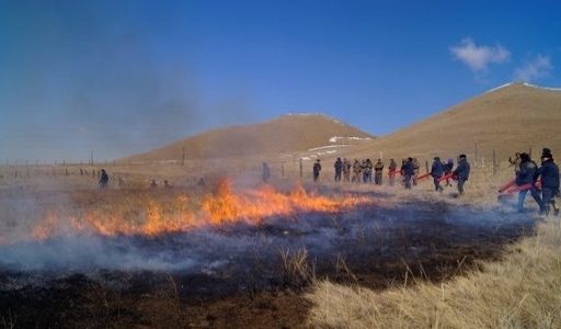Сүхбаатар аймгийн 200 га талбай хээрийн түймэрт шатжээ