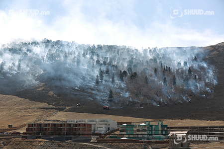 Харуулын ажилтны болгоомжгүйгээс найман га талбай шатжээ