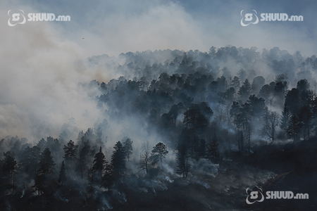 Манай улсын 359.5 га талбай түймэрт өртжээ