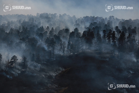 Нүхтийн амны 5 га талбай галд шатжээ
