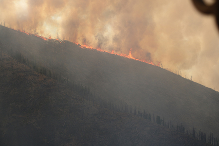 Сүхбаатар аймагт гарсан хээрийн түймэрт 3600 га талбай шатжээ
