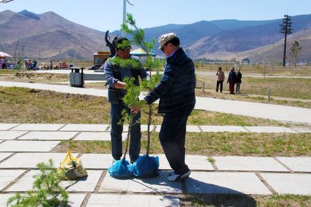 ”Монгол цагдаа” цогцолборт 37 мод суулгалаа