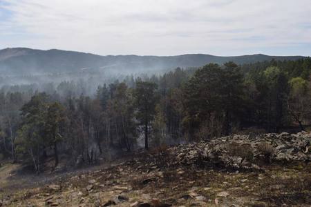 Тэрэлжид гарсан түймрийг бүрэн унтраажээ