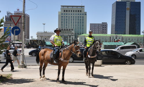 Морьт болон нохойт эргүүл ажиллаж эхэллээ