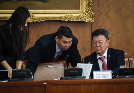 Санал асуулгын төслийг  анхны хэлэлцүүлгээр батлахыг дэмжив