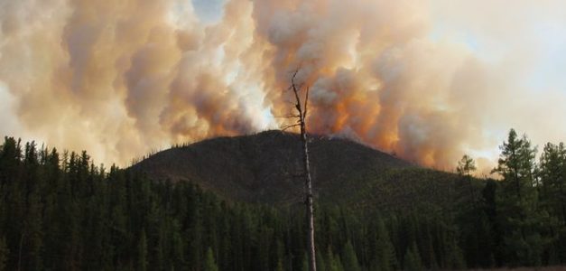 Дайчлагдан ажилласан 160 хүнийг түймрийн голомтоос буулгалаа 