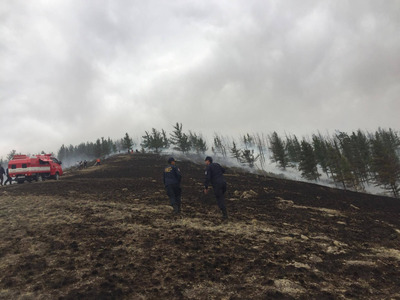  Залаатын аманд гарсан түймрийг унтраажээ