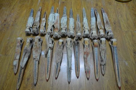 Хотон шувууны хошууг хилээр нэвтрүүлэхийг завджээ