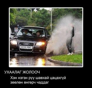 Соёлтой жолооч шалбааг цацдаггүй