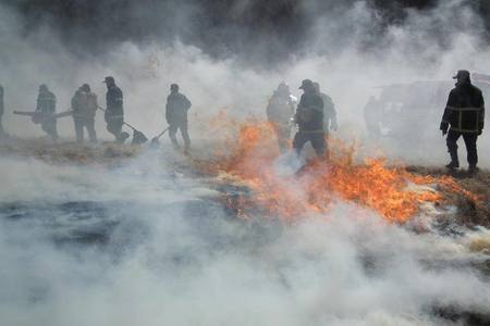 Тува улсаас орж ирсэн хээрийн түймрийг унтраахаар ажиллаж байна