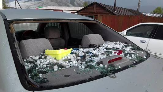  2.5-4.0 см-ийн голчтой  мөндөр оржээ