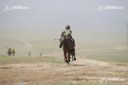 Соёолон насанд 122 морь гарааны зурхай руу хөдөллөө