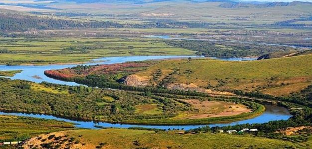 Усанд осолдсон хүмүүсийн ихэнх нь аялагчид байна