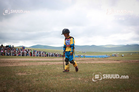 Арван хүүхэд мориноос унажээ