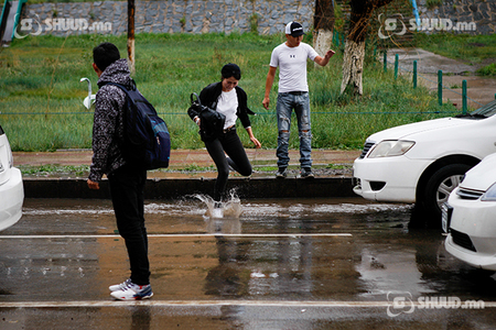 Соёлтой жолооч шалбааг ЦАЦДАГГҮЙ