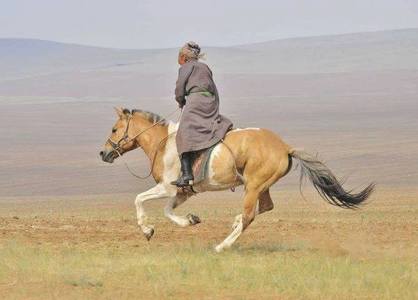 Моринд эрэмгий монгол эмээ