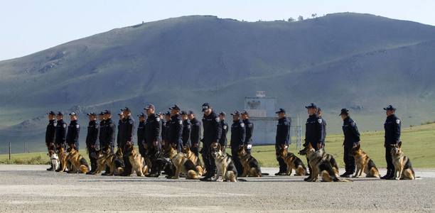 Албаны нохой сургагчид шилдгээ тодрууллаа