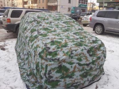 Машины хучлаганы хулгайчдыг барьжээ