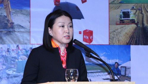 СЗХ-ны дарга С.Даваасүрэн MEFIN-ний 2018 оны даргаар сонгогдлоо