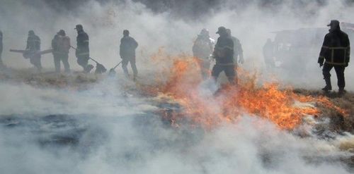 Нийслэлийн ногоон бүсэд зорчихыг хориглолоо