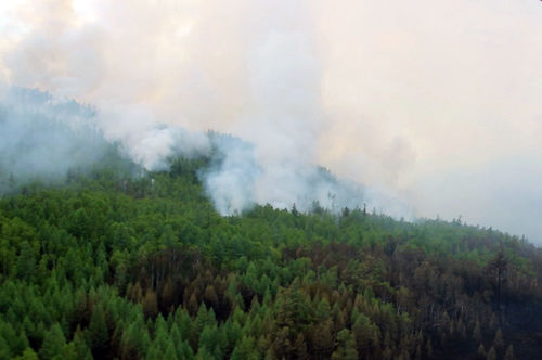 Буриад улсын Закамень аймагтай ойн түймрээс сэргийлэх чиглэлээр хамтран ажиллана