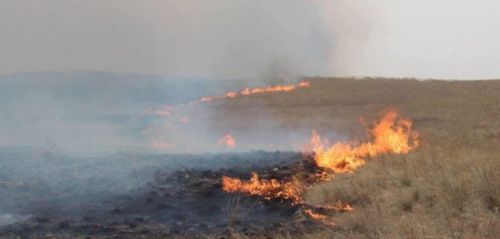 Хил даван орж ирсэн хээрийн түймрийг цурманд оруулжээ