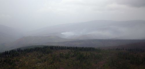 Он гарсаар 24 га ой түймэрт шатаад байна