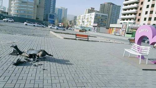 Баримал сүйтгэсэн этгээдийг олж, 20 сая төгрөгийн хохирол барагдуулахыг хүсэв