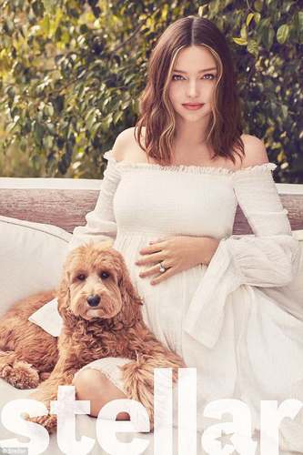 Миранда: Хүү минь хүссэн үедээ аавтайгаа уулздаг