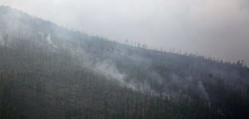 Түймрийн голомтод нэмэлт бүлэг хүргэлээ