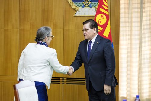 Франц Улс нисдэг тэрэг, автомашин нийлүүлэх сонирхлоо илэрхийлэв