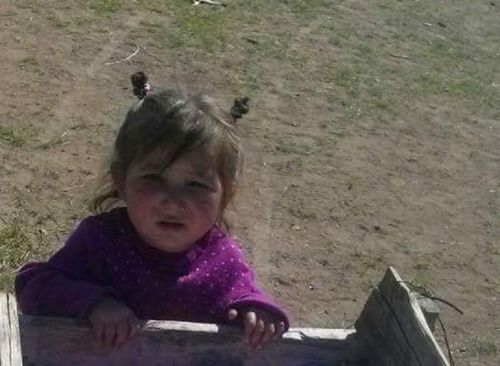 Хоёр настай охиныг эрэн хайх ажиллагаа үргэлжилж байна