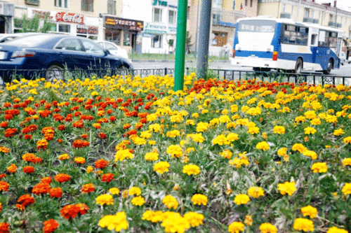 Улаанбаатарт 18 хэм дулаан байна