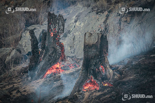 ОХУ-ын хил рүү орсон түймрийг бүрэн унтраажээ