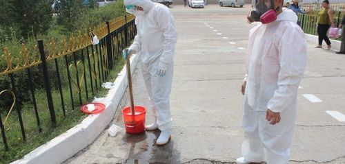 Үерт өртсөн газрыг халдваргүйжүүлэв