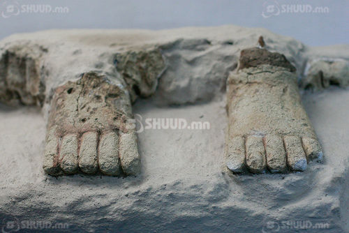 ШИНЭ ОЛДВОР: Бурхан Багшийн хөл